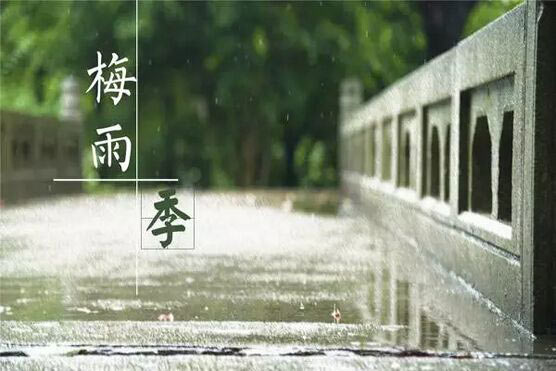 梅雨季節(jié)效果圖